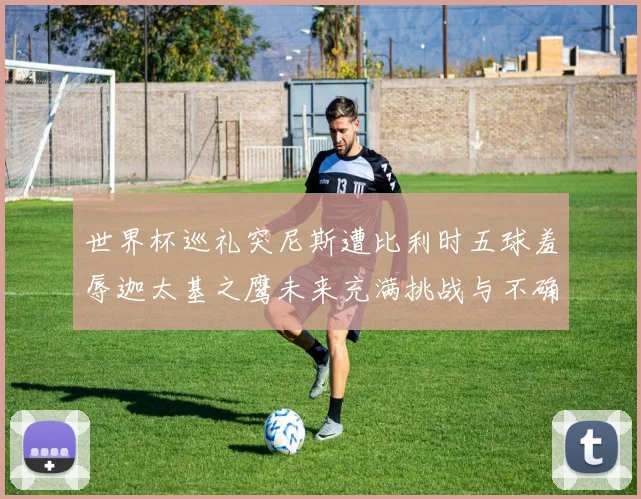 世界杯巡礼突尼斯遭比利时五球羞辱迦太基之鹰未来充满挑战与不确定性