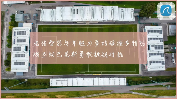 老将智慧与年轻力量的碰撞多特防线坚韧巴恩斯勇敢挑战对抗